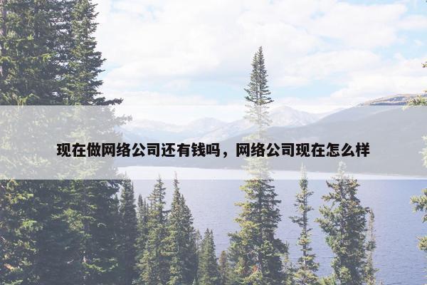 现在做网络公司还有钱吗，网络公司现在怎么样