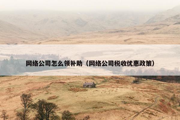 网络公司怎么领补助（网络公司税收优惠政策）