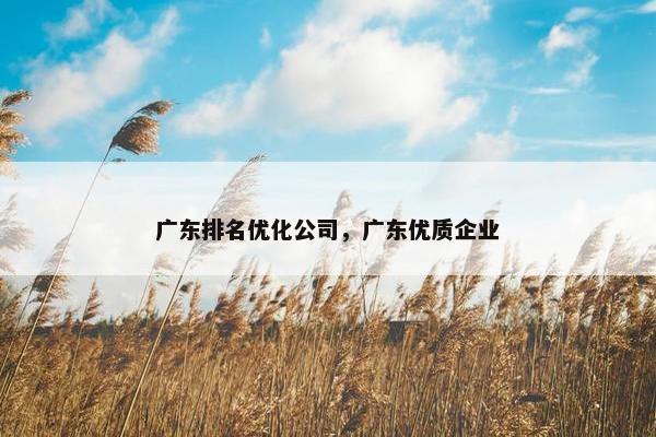 广东排名优化公司，广东优质企业
