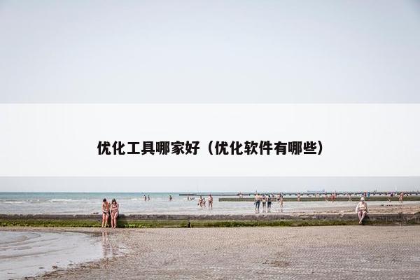 优化工具哪家好（优化软件有哪些）