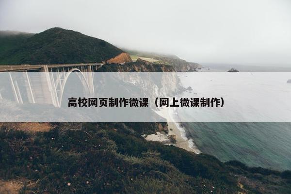 高校网页制作微课（网上微课制作）