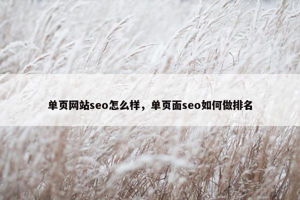单页网站seo怎么样，单页面seo如何做排名