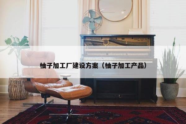 柚子加工厂建设方案（柚子加工产品）
