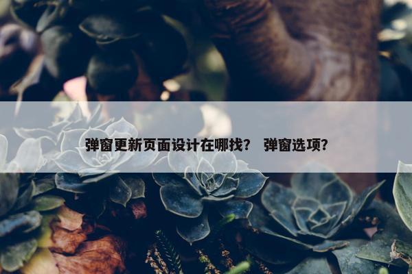 弹窗更新页面设计在哪找？ 弹窗选项？