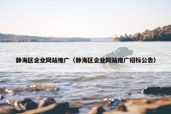 静海区企业网站推广（静海区企业网站推广招标公告）