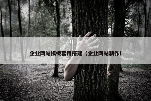 企业网站模板套用搭建（企业网站制作）