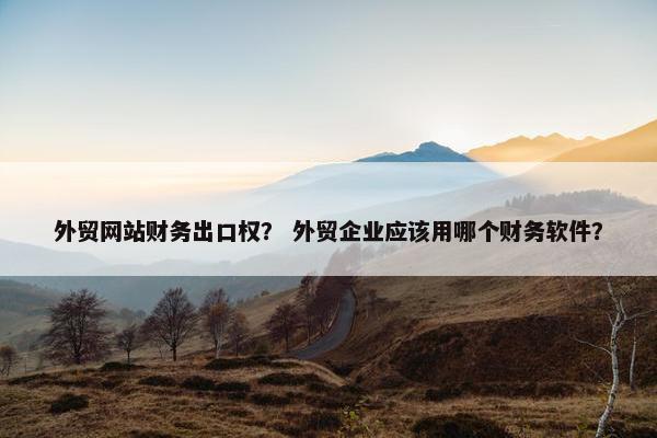 外贸网站财务出口权？ 外贸企业应该用哪个财务软件？