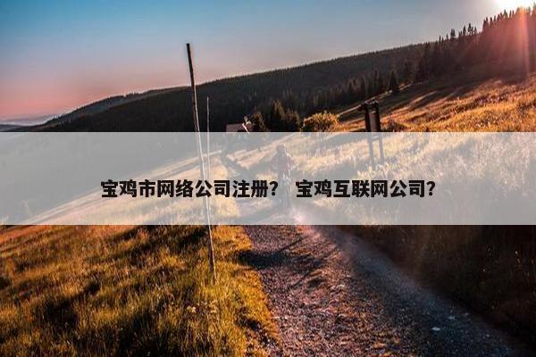 宝鸡市网络公司注册？ 宝鸡互联网公司？