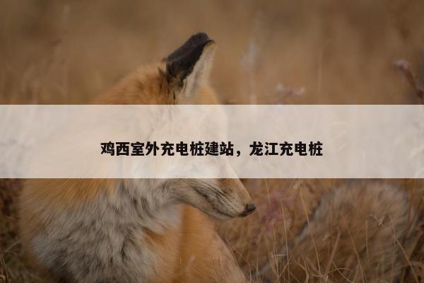 鸡西室外充电桩建站，龙江充电桩