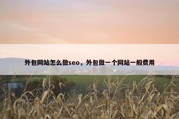 外包网站怎么做seo，外包做一个网站一般费用