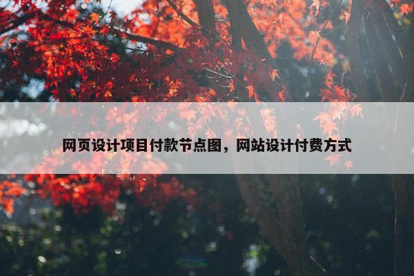 网页设计项目付款节点图，网站设计付费方式