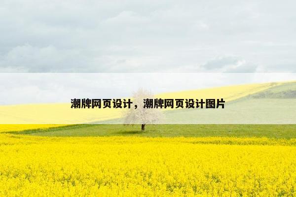 潮牌网页设计，潮牌网页设计图片