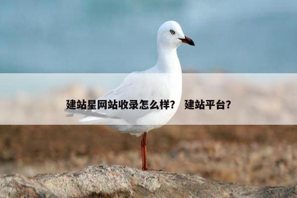 建站星网站收录怎么样？ 建站平台？