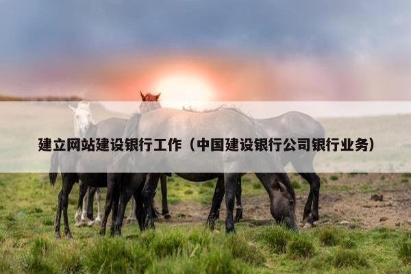 建立网站建设银行工作（中国建设银行公司银行业务）
