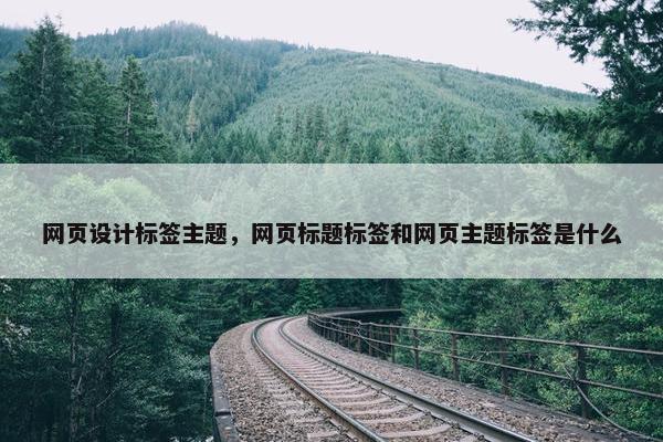 网页设计标签主题，网页标题标签和网页主题标签是什么