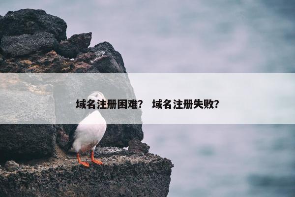 域名注册困难？ 域名注册失败？