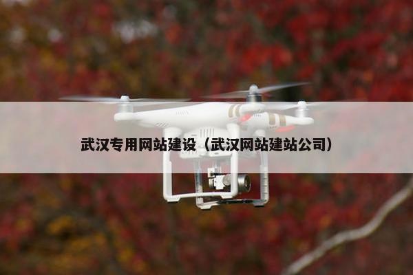 武汉专用网站建设（武汉网站建站公司）