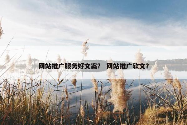 网站推广服务好文案？ 网站推广软文？