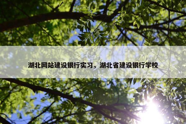 湖北网站建设银行实习，湖北省建设银行学校
