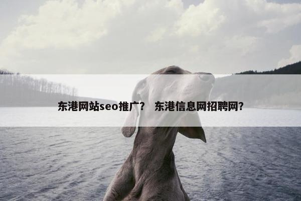 东港网站seo推广？ 东港信息网招聘网？