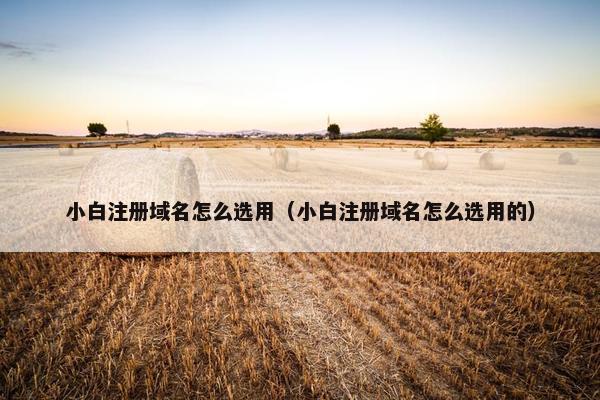 小白注册域名怎么选用（小白注册域名怎么选用的）