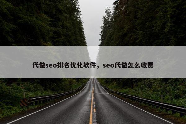 代做seo排名优化软件，seo代做怎么收费