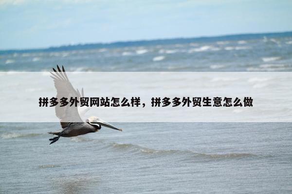 拼多多外贸网站怎么样，拼多多外贸生意怎么做