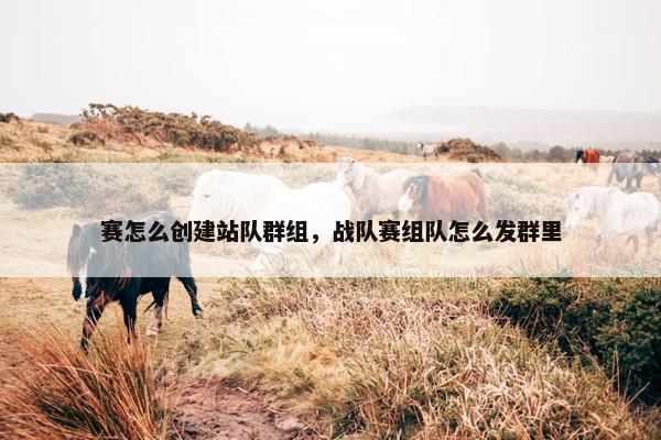 赛怎么创建站队群组，战队赛组队怎么发群里