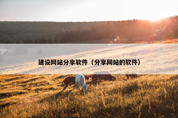 建设网站分享软件（分享网站的软件）