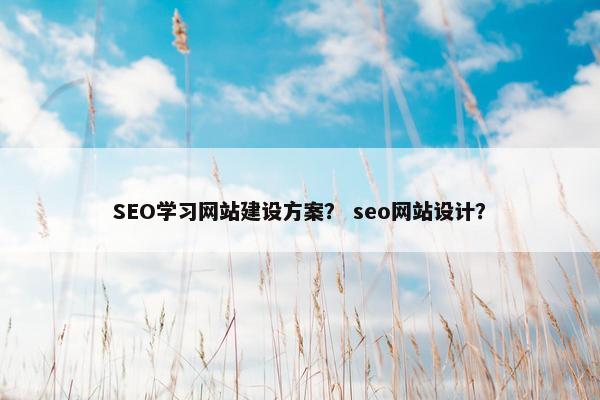 SEO学习网站建设方案？ seo网站设计？