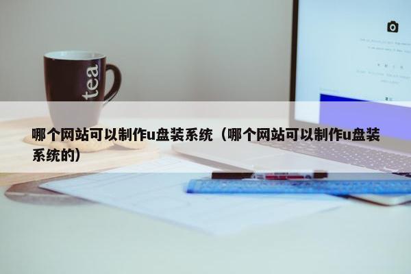 哪个网站可以制作u盘装系统（哪个网站可以制作u盘装系统的）