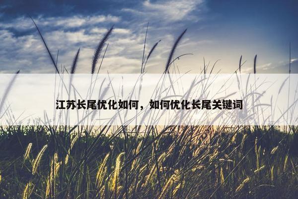 江苏长尾优化如何，如何优化长尾关键词
