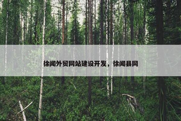 徐闻外贸网站建设开发，徐闻县网