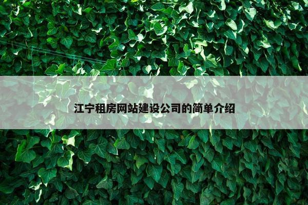 江宁租房网站建设公司的简单介绍
