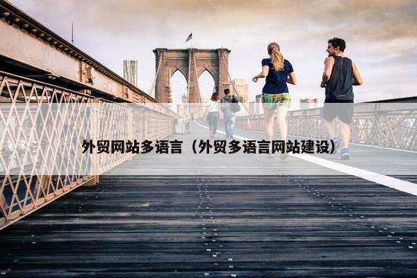 外贸网站多语言（外贸多语言网站建设）