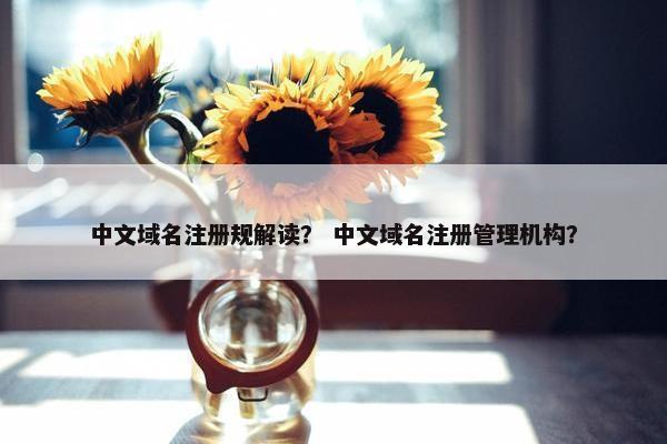 中文域名注册规解读？ 中文域名注册管理机构？