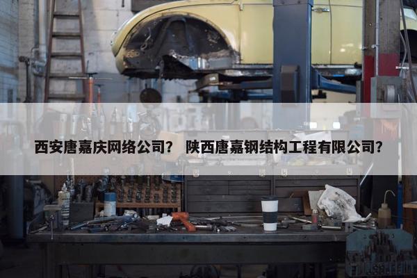 西安唐嘉庆网络公司？ 陕西唐嘉钢结构工程有限公司？