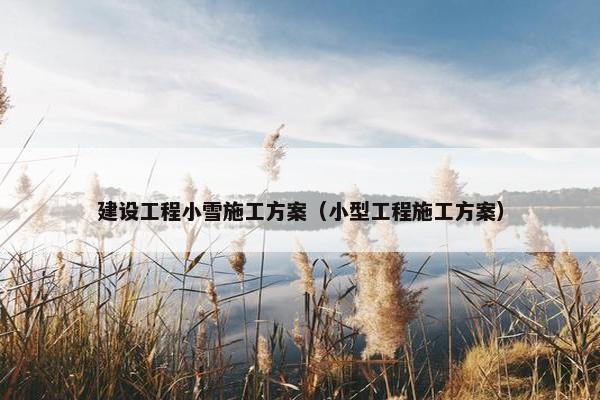 建设工程小雪施工方案（小型工程施工方案）