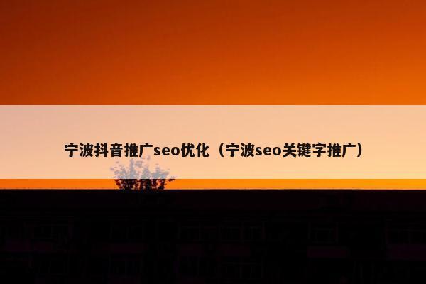 宁波抖音推广seo优化（宁波seo关键字推广）