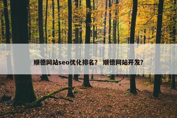 顺德网站seo优化排名？ 顺德网站开发？