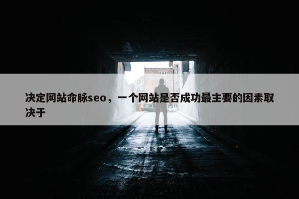 决定网站命脉seo，一个网站是否成功最主要的因素取决于