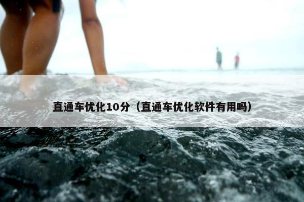 直通车优化10分（直通车优化软件有用吗）