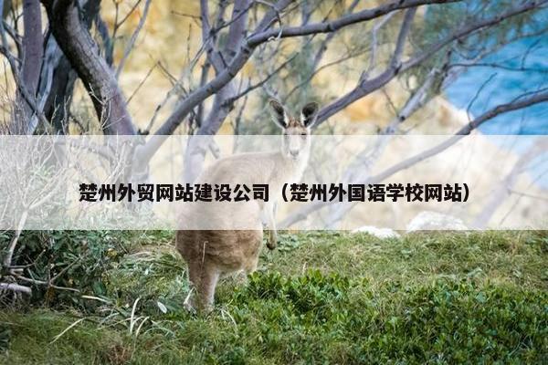 楚州外贸网站建设公司（楚州外国语学校网站）