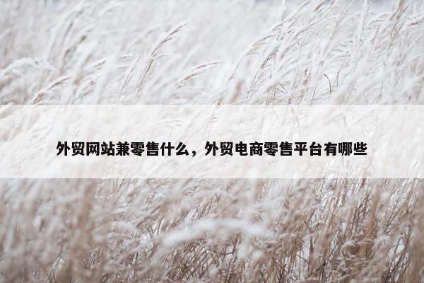 外贸网站兼零售什么，外贸电商零售平台有哪些