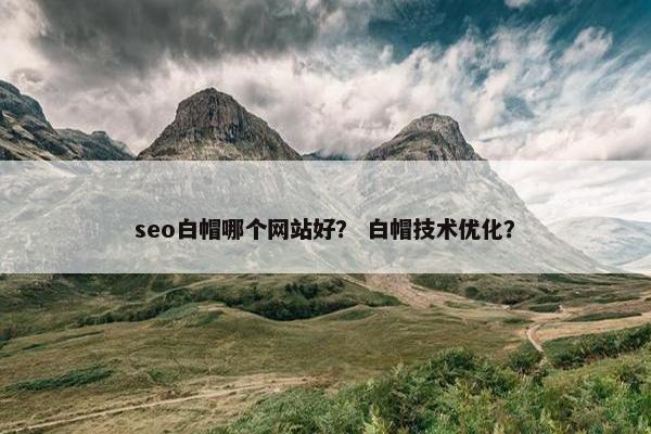 seo白帽哪个网站好？ 白帽技术优化？