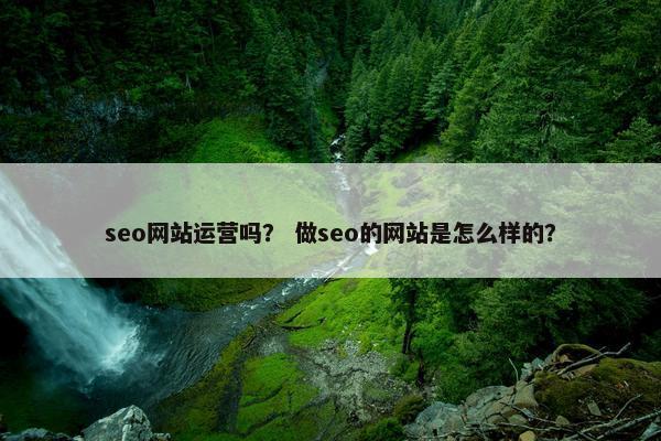 seo网站运营吗？ 做seo的网站是怎么样的？
