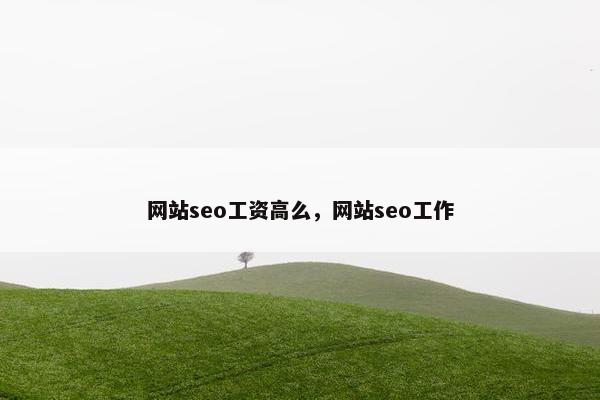 网站seo工资高么，网站seo工作