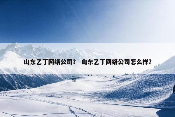 山东乙丁网络公司？ 山东乙丁网络公司怎么样？