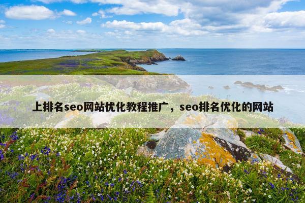 上排名seo网站优化教程推广，seo排名优化的网站