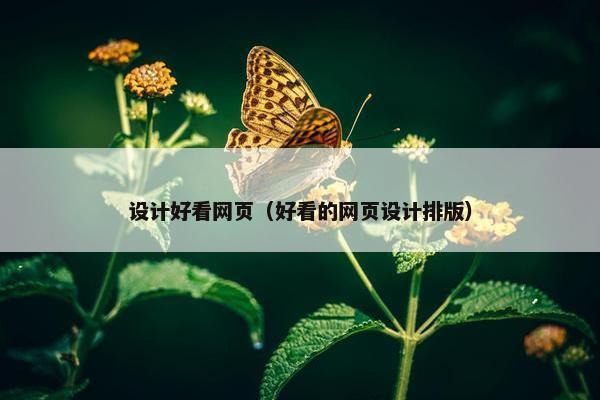 设计好看网页（好看的网页设计排版）